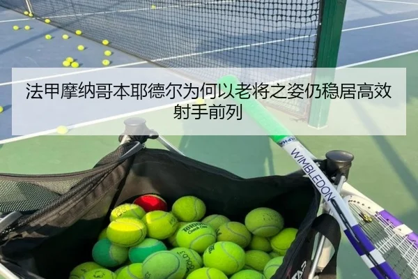 fa-jia-mo-na-ge-ben-ye-de-er-wei-he-yi-lao-jiang-zhi-zi-reng-wen-ju-gao-xiao-she-shou-qian-lie-2-381.jpg