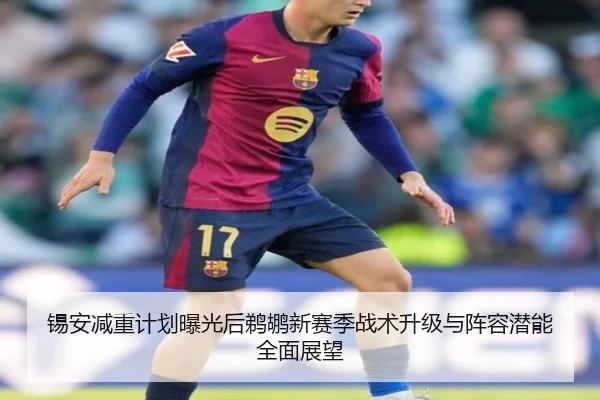 锡安减重计划曝光后鹈鹕新赛季战术升级与阵容潜能全面展望